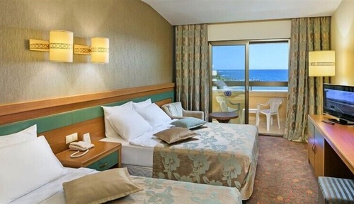 Standard Room, Mountain View