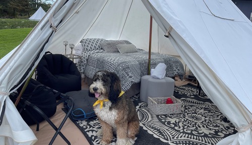 Senior Tent