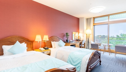 Modern Western Style Room