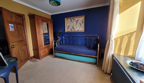 Double or Twin Room (Peacock Family Suite)