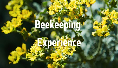 Luxury Tent, Private Bathroom