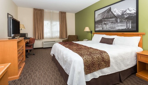 Room, 1 King Bed, Non Smoking