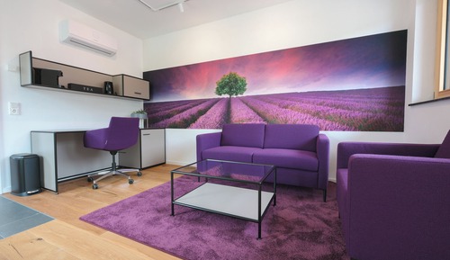 Deluxe Suite, 1 Bedroom, Non Smoking, Air conditioning