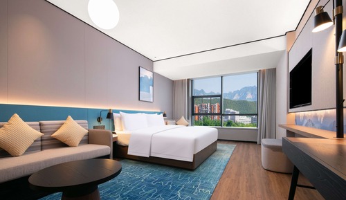 Room, 1 King Bed, Accessible