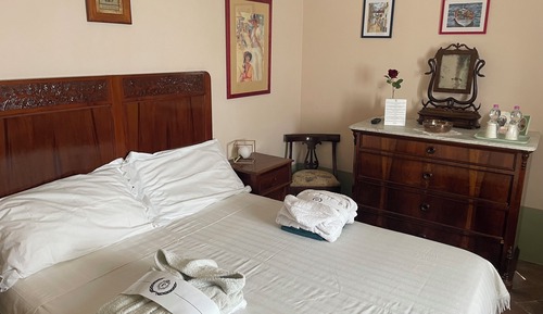 Superior Double or Twin Room