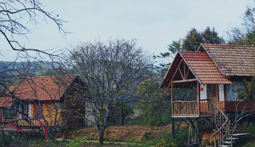 Traditional Cabin