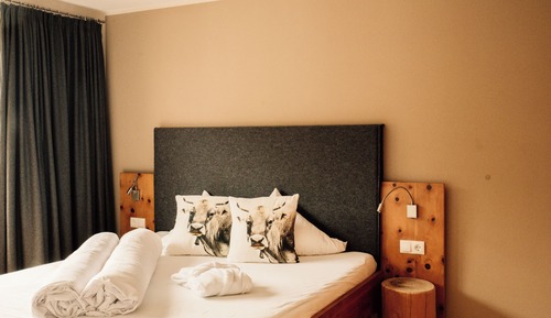 Superior Apartment (Schoder)