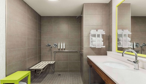 Studio, 1 King Bed, Accessible (Mobility & Hearing, Roll-in Shower)