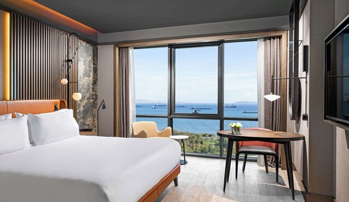 Executive Suite, 1 King Bed with Sofa bed