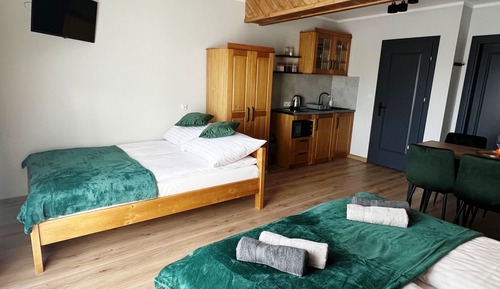 Standard Studio Suite, Kitchenette, Mountainside (5)