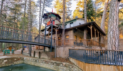 Superior Bungalow