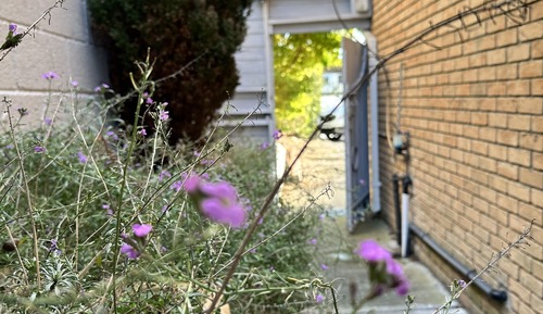 Basic Twin Room, Shared Bathroom