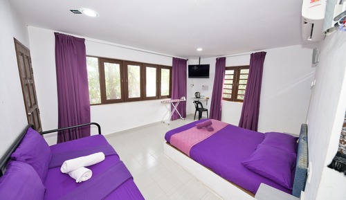 Superior Suite