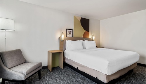 Room, 1 King Bed, Accessible (Mobility, Roll-In Shower)