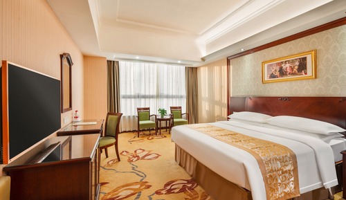 Premier Single Room
