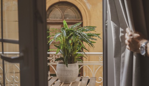 Deluxe Double or Twin Room, 1 Bedroom, Balcony