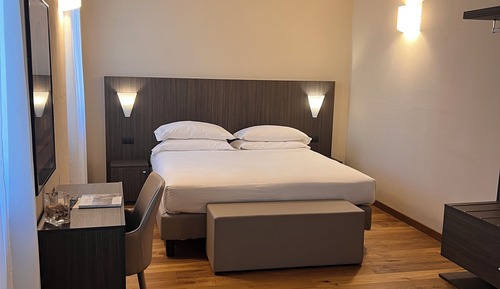 Superior Double or Twin Room