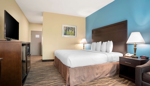 Standard Room, 1 King Bed with Sofa bed, Non Smoking, Microwave (with Sofabed)