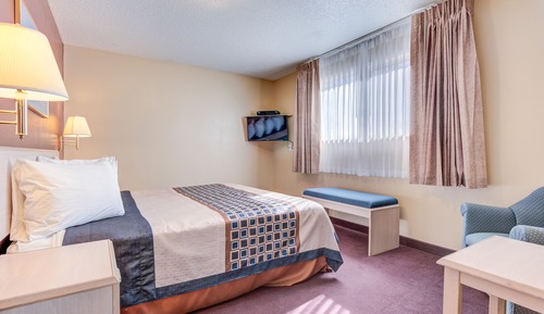 Suite, 1 King Bed with Sofa bed