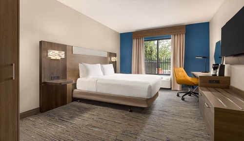 Standard Room, 1 Queen Bed, Accessible (Roll-In Shower)