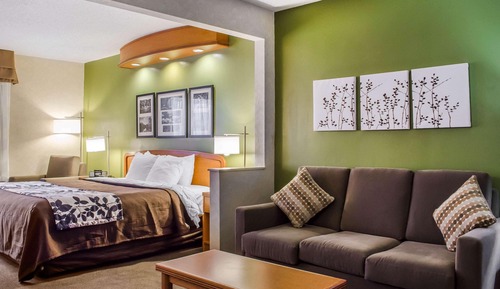 Suite, 1 King Bed with Sofa bed, Accessible, Non Smoking