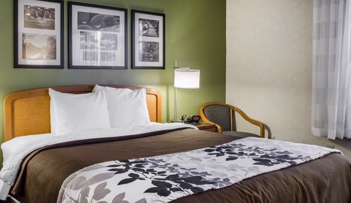 Room, 1 Queen Bed, Accessible, Non Smoking