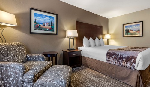 Standard Room, 1 King Bed, Non Smoking, Refrigerator (Pet Friendly)