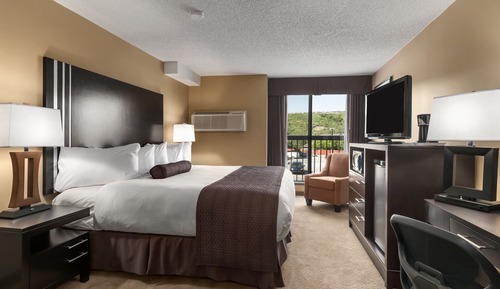 Standard Room, 1 King Bed