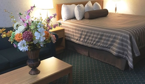 Business Room, 1 King Bed
