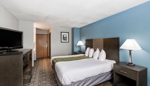 Room, 1 King Bed, Non Smoking