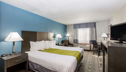 Business Room, 1 King Bed, Non Smoking