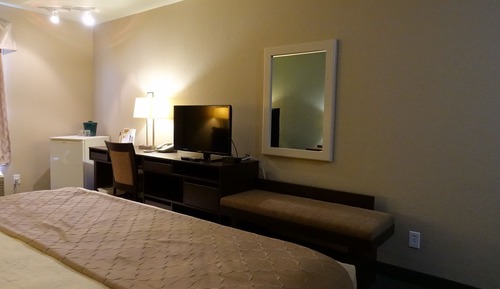 Room, 1 King Bed, Non Smoking (One-Bedroom Suite)