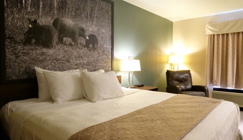 Room, 1 King Bed