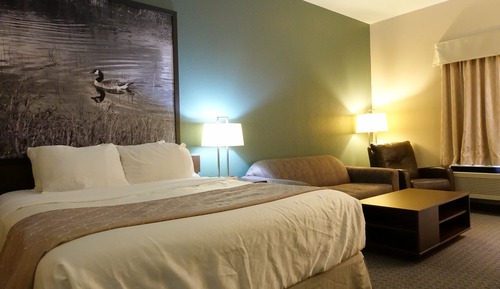 Business Room, 1 King Bed