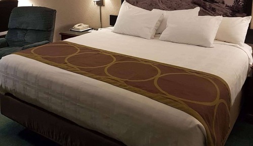 Standard Room, 1 King Bed, Refrigerator & Microwave