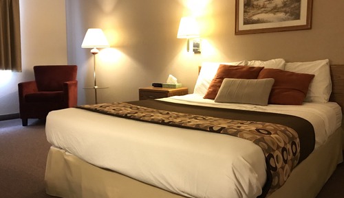 Basic Single Room, 1 Queen Bed, Non Smoking, Private Bathroom