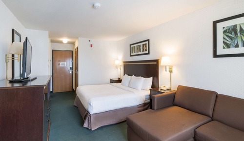 Suite, 1 King Bed, Non Smoking