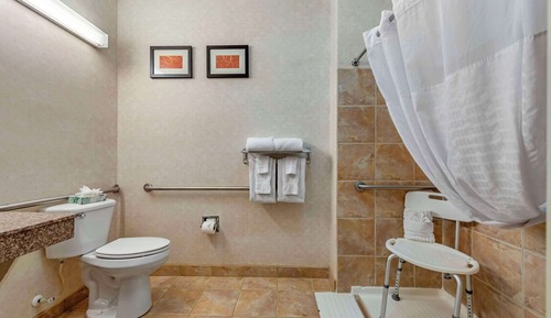 Business Suite, 1 King Bed with Sofa bed, Accessible, Non Smoking (Upgrade)