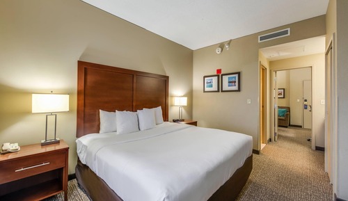 Suite, 1 King Bed with Sofa bed, Non Smoking