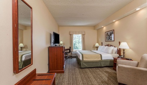 Suite, 1 King Bed, Non Smoking (1 Bedroom)
