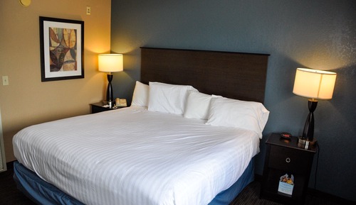 Deluxe Suite, 1 King Bed, Non Smoking (1 Bedroom)