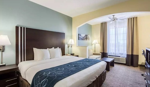 Suite, 1 King Bed with Sofa bed, Non Smoking