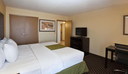 Suite, 1 King Bed