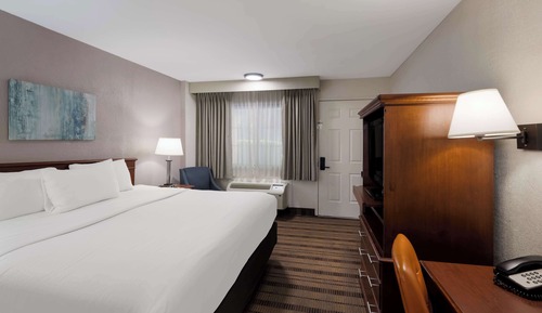 Standard Room, 1 King Bed, Non Smoking, Refrigerator