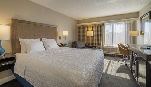 Room, 1 King Bed, Bathtub