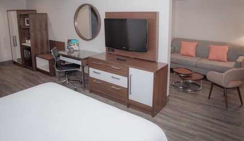 Deluxe Suite, Non Smoking (Sofa Bed)