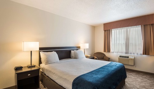 Standard Room, 1 King Bed, Non Smoking, Refrigerator & Microwave