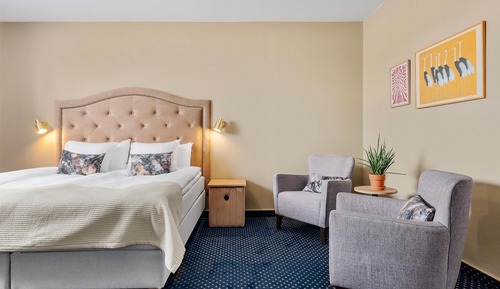 Superior Room, 1 King Bed, Non Smoking