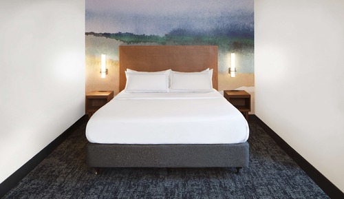 Room, 1 King Bed, Accessible, Balcony (Mobility, Roll-In Shower)