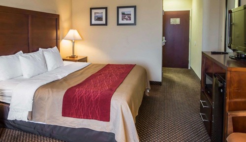 Standard Room, 1 King Bed, Non Smoking
